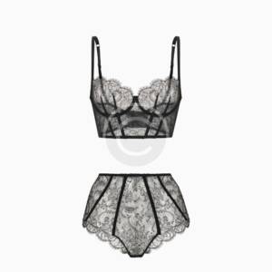 Sheer lace set